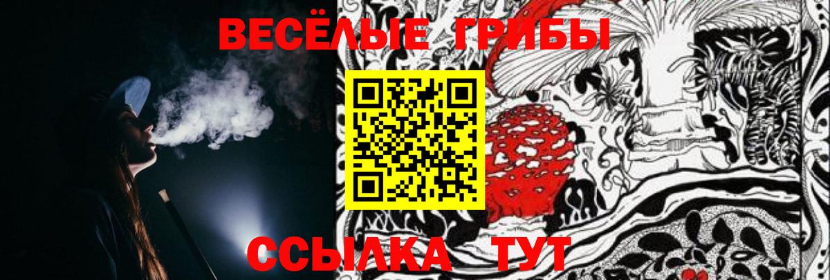 Псилоцибиновые грибы Psilocybine cubensis Приморско-Ахтарск