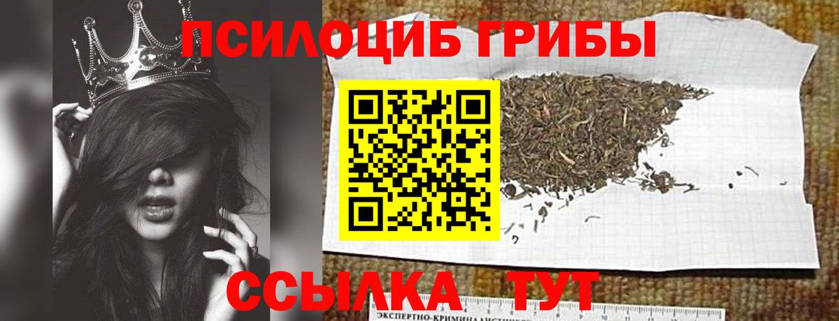 Приморско-Ахтарск  Псилоцибиновые грибы Cubensis  Вход с VPN 